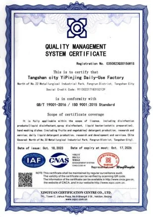 ISO 9001:2015 Quality Management System Certificate (English)